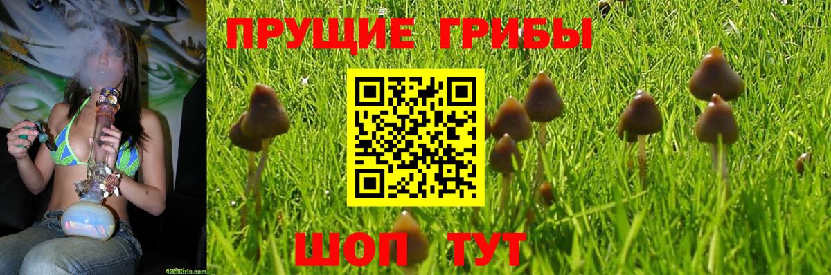 Псилоцибиновые грибы мухоморы  Вход с VPN  Ртищево  Псилоцибиновые грибы Psilocybine cubensis 