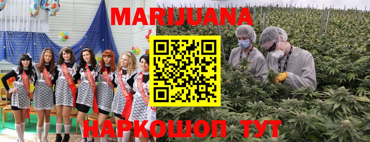 Каннабис Bruce Banner Ртищево
